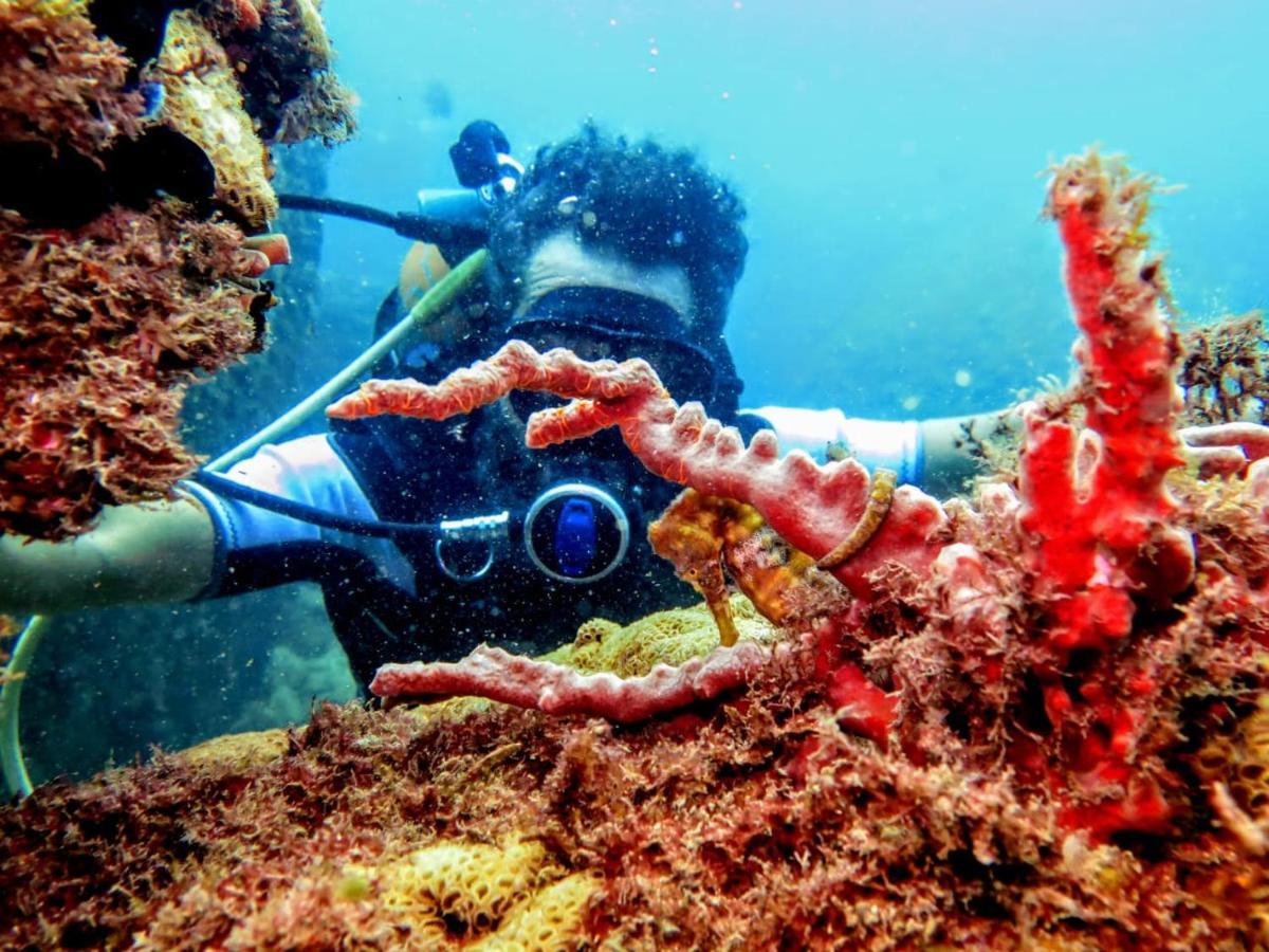 Pousada E Mergulho Dolce Vita Praia Vermelha  المظهر الخارجي الصورة